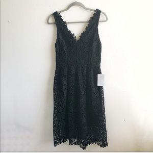 ASTR the Label black Dress Lace Fit & Flare V Neck